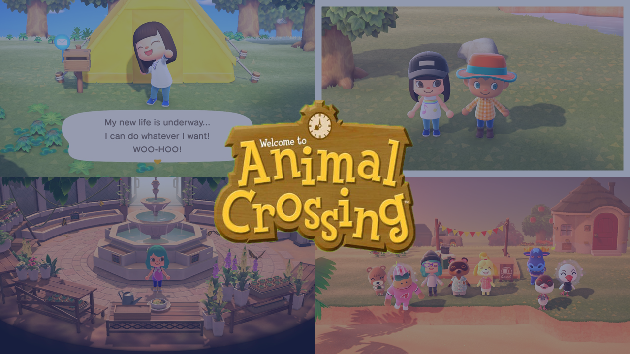 Animal Crossing One Year Later with screenshots from over the last 12 months